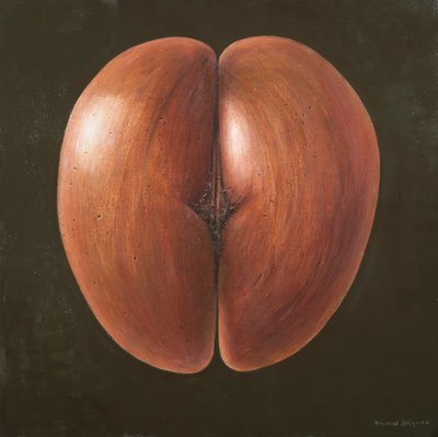 Coco de Mer, Malediven, 2012 von Lincoln Seligman